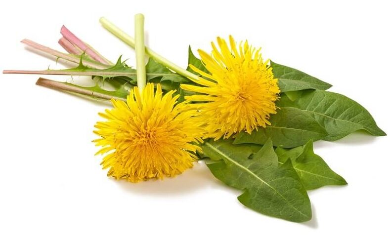 Το NEOflorax περιέχει πικραλίδα